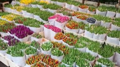 荷兰阿姆斯特丹花卉市场的郁金香和纪念品